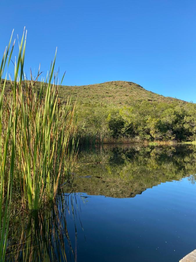 The Retreat At Groenfontein Calitzdorp Eksteriør bilde