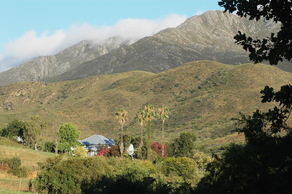 The Retreat At Groenfontein Calitzdorp Eksteriør bilde