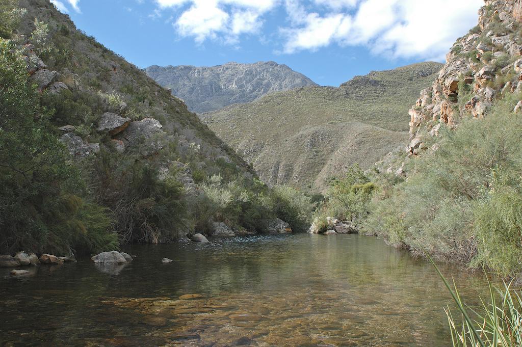 The Retreat At Groenfontein Calitzdorp Eksteriør bilde