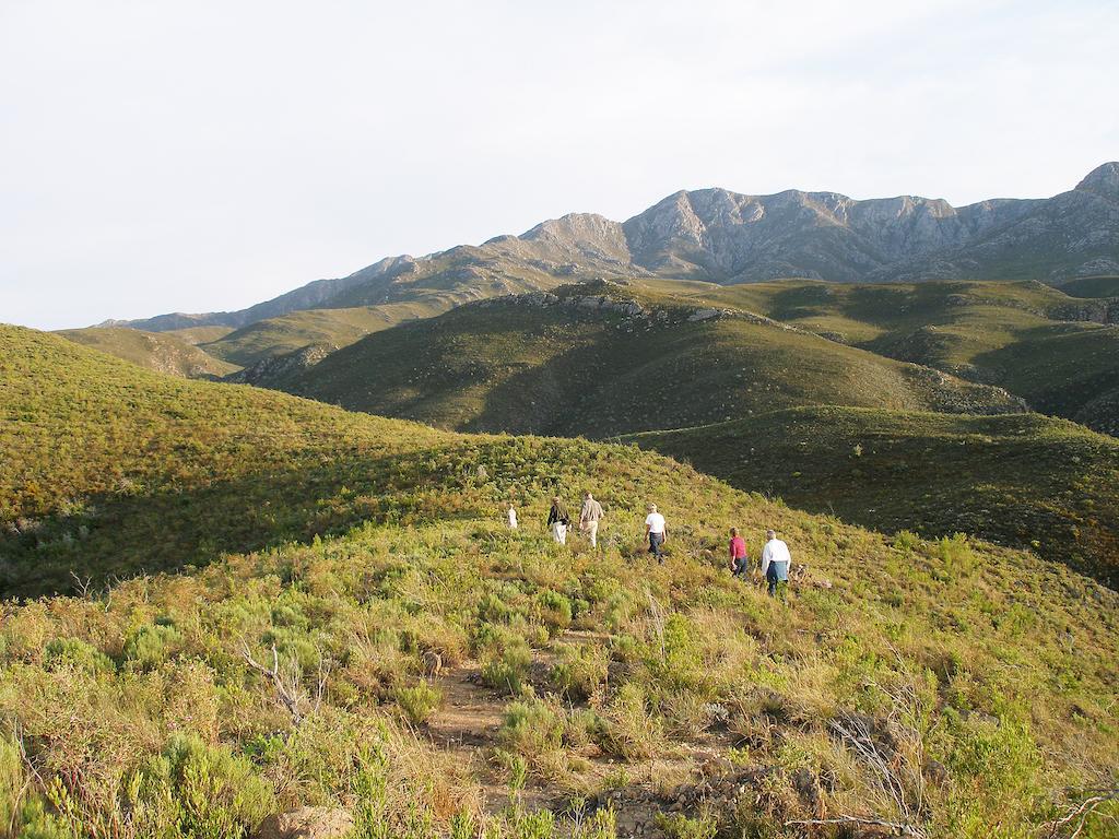 The Retreat At Groenfontein Calitzdorp Eksteriør bilde